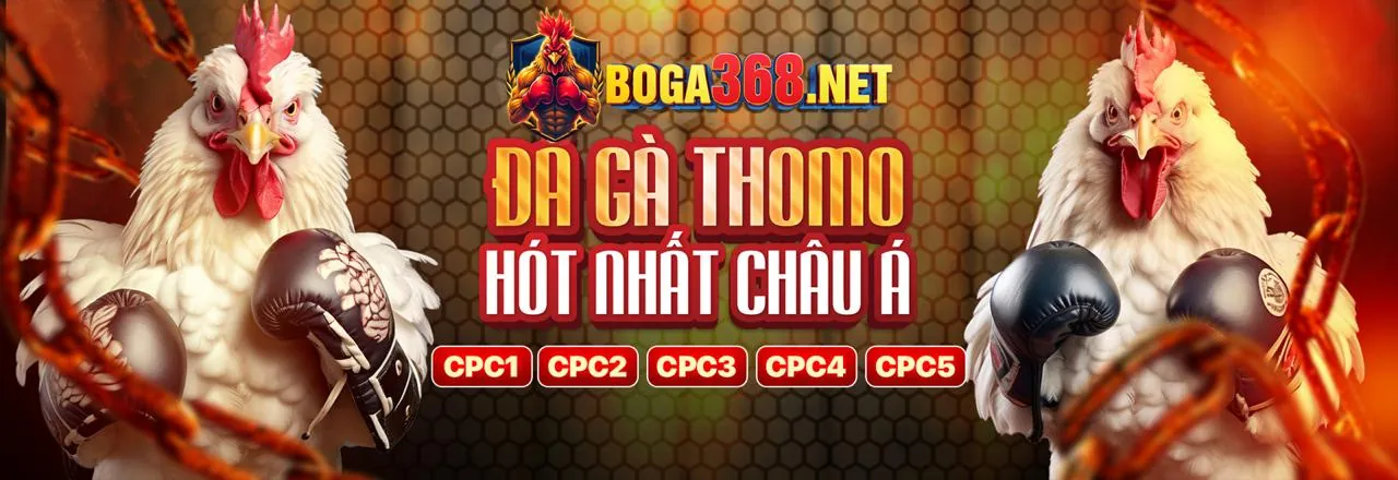 Đá gà trực tuyến 79win game